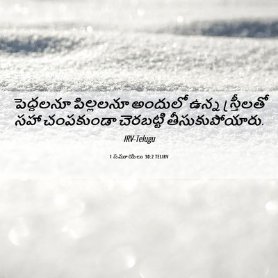 Picture 06 - 1 సమూయేలు 30:2 TELIRV - పెద్దలనూ పిల్లలనూ - Bible Verse Picture