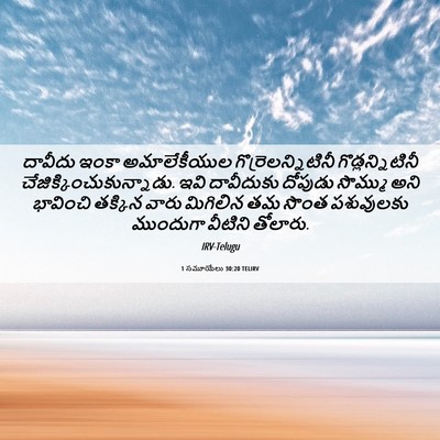 Picture 06 - 1 సమూయేలు 30:20 TELIRV - దావీదు ఇంకా - Bible Verse Picture