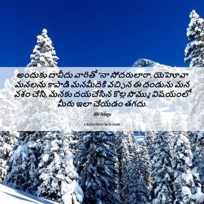 Picture 06 - 1 సమూయేలు 30:23 TELIRV - అందుకు దావీదు - Bible Verse Picture
