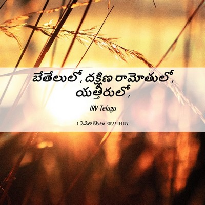 Picture 06 - 1 సమూయేలు 30:27 TELIRV - బేతేలులో, దక్షిణ - Bible Verse Picture