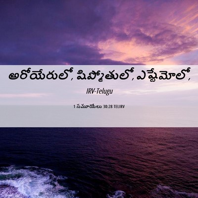 Picture 06 - 1 సమూయేలు 30:28 TELIRV - అరోయేరులో, - Bible Verse Picture
