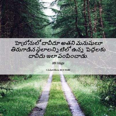 Picture 06 - 1 సమూయేలు 30:31 TELIRV - హెబ్రోనులో దావీదూ - Bible Verse Picture