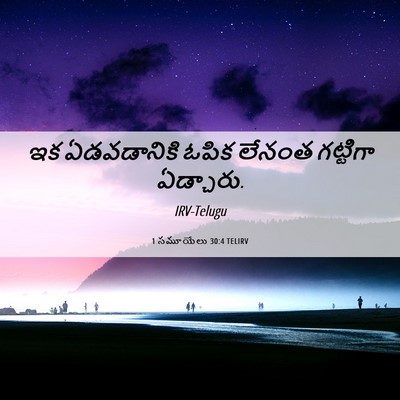 Picture 06 - 1 సమూయేలు 30:4 TELIRV - ఇక ఏడవడానికి ఓపిక - Bible Verse Picture