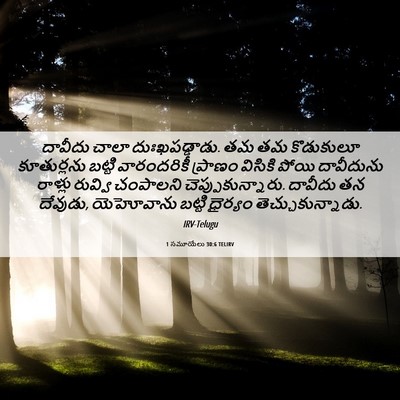 Picture 06 - 1 సమూయేలు 30:6 TELIRV - దావీదు చాలా - Bible Verse Picture