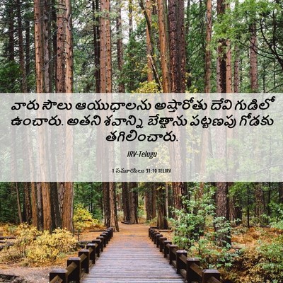 Picture 06 - 1 సమూయేలు 31:10 TELIRV - వారు సౌలు - Bible Verse Picture