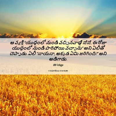 Picture 06 - 1 సమూయేలు 4:16 TELIRV - ఆ వ్యక్తి - Bible Verse Picture