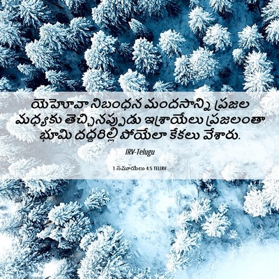 Picture 06 - 1 సమూయేలు 4:5 TELIRV - యెహోవా నిబంధన - Bible Verse Picture