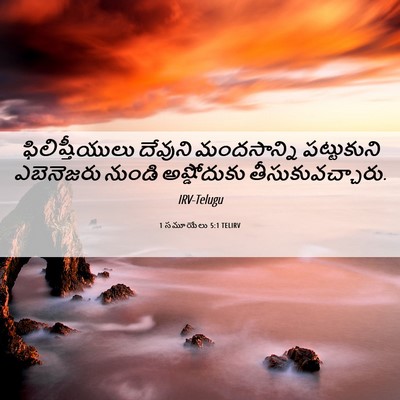 Picture 06 - 1 సమూయేలు 5:1 TELIRV - ఫిలిష్తీయులు - Bible Verse Picture