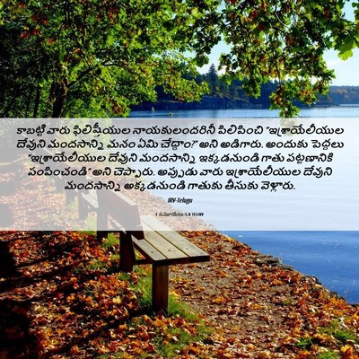 Picture 06 - 1 సమూయేలు 5:8 TELIRV - కాబట్టి వారు - Bible Verse Picture