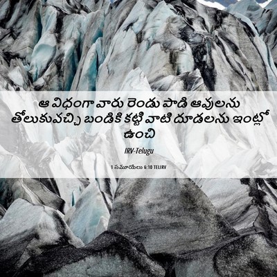 Picture 06 - 1 సమూయేలు 6:10 TELIRV - ఆ విధంగా వారు - Bible Verse Picture