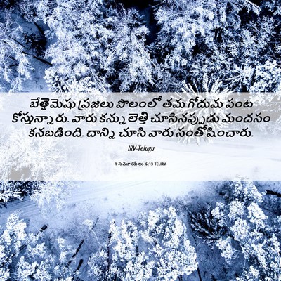 Picture 06 - 1 సమూయేలు 6:13 TELIRV - బేత్షెమెషు ప్రజలు - Bible Verse Picture