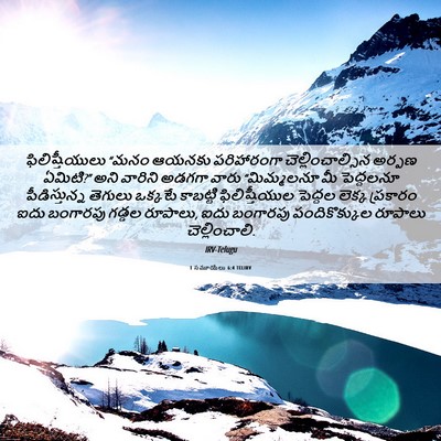 Picture 06 - 1 సమూయేలు 6:4 TELIRV - ఫిలిష్తీయులు “మనం - Bible Verse Picture