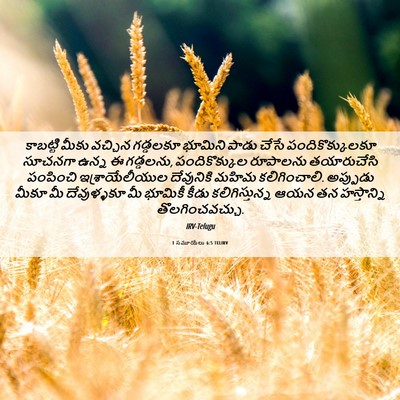 Picture 06 - 1 సమూయేలు 6:5 TELIRV - కాబట్టి మీకు - Bible Verse Picture