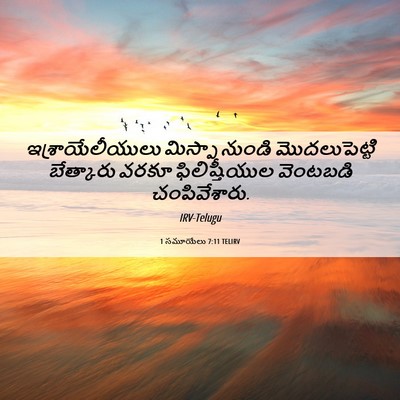 Picture 06 - 1 సమూయేలు 7:11 TELIRV - ఇశ్రాయేలీయులు - Bible Verse Picture