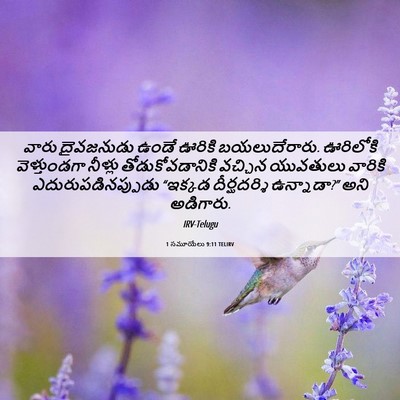 Picture 06 - 1 సమూయేలు 9:11 TELIRV - వారు దైవజనుడు - Bible Verse Picture