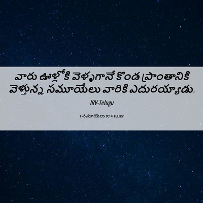 Picture 06 - 1 సమూయేలు 9:14 TELIRV - వారు ఊళ్లోకి - Bible Verse Picture