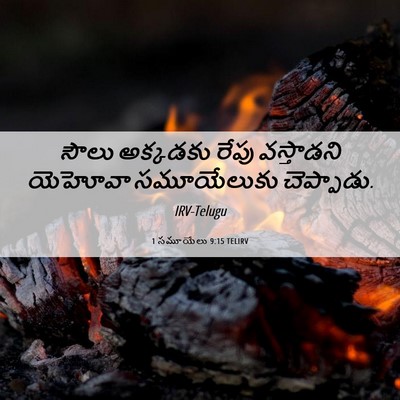 Picture 06 - 1 సమూయేలు 9:15 TELIRV - సౌలు అక్కడకు రేపు - Bible Verse Picture