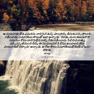 Picture 06 - 1 సమూయేలు 9:24 TELIRV - అ వంటవాడు తొడ - Bible Verse Picture