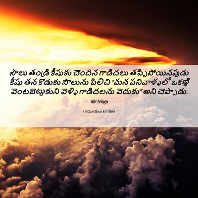 Picture 06 - 1 సమూయేలు 9:3 TELIRV - సౌలు తండ్రి - Bible Verse Picture