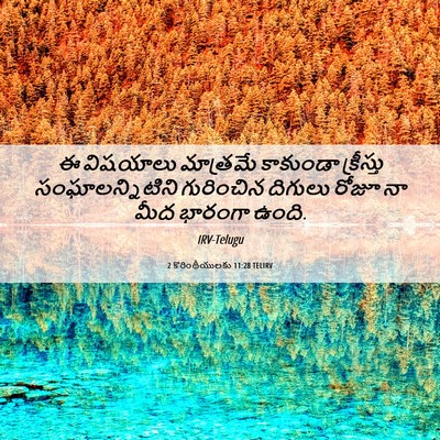 Picture 06 - 2 కొరింథీయులకు 11:28 TELIRV - ఈ విషయాలు మాత్రమే - Bible Verse Picture