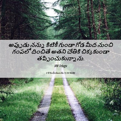 Picture 06 - 2 కొరింథీయులకు 11:33 TELIRV - అప్పుడు నన్ను - Bible Verse Picture