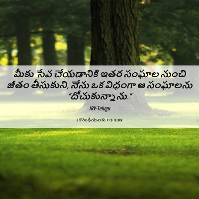 Picture 06 - 2 కొరింథీయులకు 11:8 TELIRV - మీకు సేవ - Bible Verse Picture