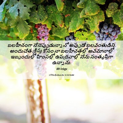 Picture 06 - 2 కొరింథీయులకు 12:10 TELIRV - బలహీనంగా - Bible Verse Picture