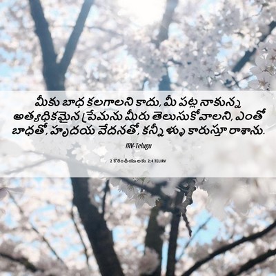 Picture 06 - 2 కొరింథీయులకు 2:4 TELIRV - మీకు బాధ కలగాలని - Bible Verse Picture