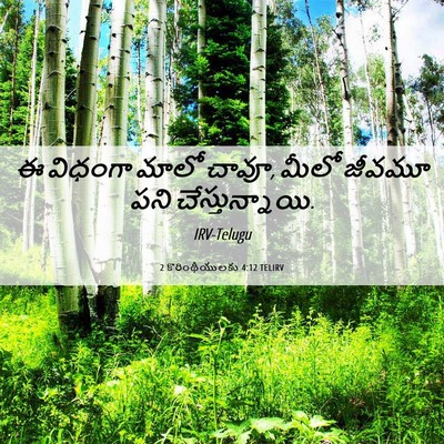 Picture 06 - 2 కొరింథీయులకు 4:12 TELIRV - ఈ విధంగా మాలో చావూ, - Bible Verse Picture