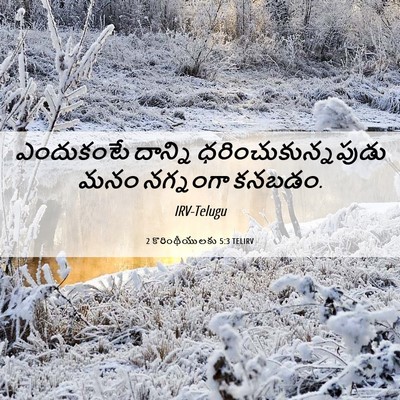 Picture 06 - 2 కొరింథీయులకు 5:3 TELIRV - ఎందుకంటే దాన్ని - Bible Verse Picture