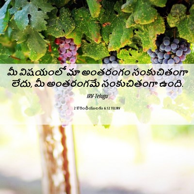 Picture 06 - 2 కొరింథీయులకు 6:12 TELIRV - మీ విషయంలో మా - Bible Verse Picture