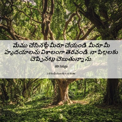 Picture 06 - 2 కొరింథీయులకు 6:13 TELIRV - మేము చేసినట్టే - Bible Verse Picture
