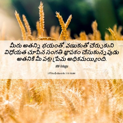 Picture 06 - 2 కొరింథీయులకు 7:15 TELIRV - మీరు అతన్ని భయంతో, - Bible Verse Picture