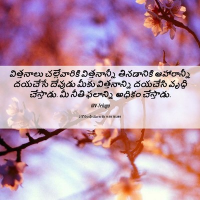 Picture 06 - 2 కొరింథీయులకు 9:10 TELIRV - విత్తనాలు - Bible Verse Picture