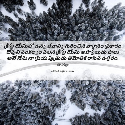 Picture 06 - 2 తిమోతి పత్రిక 1:1 TELIRV - క్రీస్తు యేసులో - Bible Verse Picture