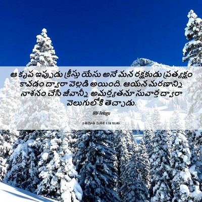 Picture 06 - 2 తిమోతి పత్రిక 1:10 TELIRV - ఆ కృప ఇప్పుడు - Bible Verse Picture