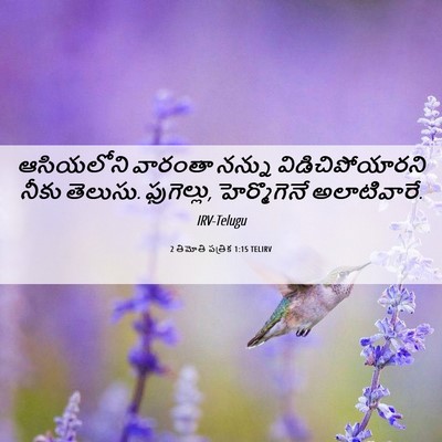 Picture 06 - 2 తిమోతి పత్రిక 1:15 TELIRV - ఆసియలోని వారంతా - Bible Verse Picture