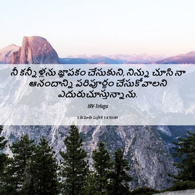 Picture 06 - 2 తిమోతి పత్రిక 1:4 TELIRV - నీ కన్నీళ్లను - Bible Verse Picture