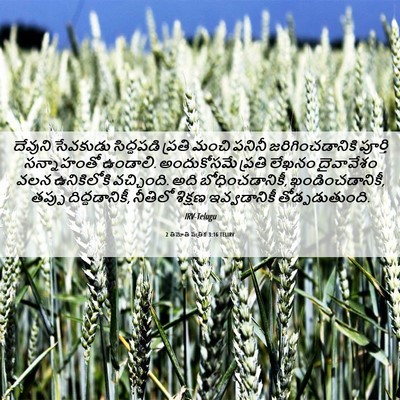 Picture 06 - 2 తిమోతి పత్రిక 3:16 TELIRV - దేవుని సేవకుడు - Bible Verse Picture