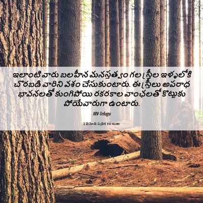 Picture 06 - 2 తిమోతి పత్రిక 3:6 TELIRV - ఇలాంటి వారు బలహీన - Bible Verse Picture