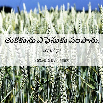 Picture 06 - 2 తిమోతి పత్రిక 4:12 TELIRV - తుకికును ఎఫెసుకు - Bible Verse Picture
