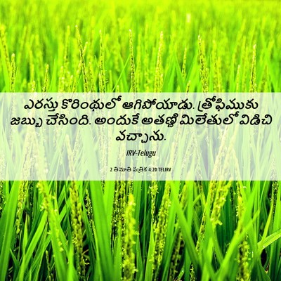 Picture 06 - 2 తిమోతి పత్రిక 4:20 TELIRV - ఎరస్తు కొరింథులో - Bible Verse Picture