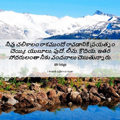 Picture 06 - 2 తిమోతి పత్రిక 4:21 TELIRV - నీవు చలికాలం - Bible Verse Picture