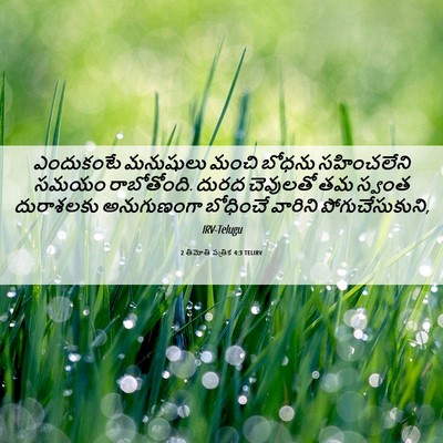 Picture 06 - 2 తిమోతి పత్రిక 4:3 TELIRV - ఎందుకంటే మనుషులు - Bible Verse Picture