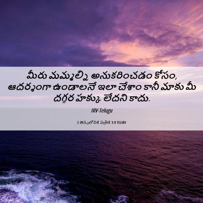 Picture 06 - 2 తెస్సలోనిక పత్రిక 3:9 TELIRV - మీరు మమ్మల్ని - Bible Verse Picture
