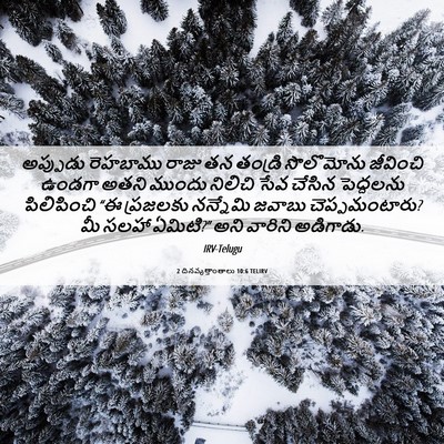 Picture 06 - 2 దినవృత్తాంతాలు 10:6 TELIRV - అప్పుడు రెహబాము - Bible Verse Picture