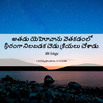 Picture 06 - 2 దినవృత్తాంతాలు 12:14 TELIRV - అతడు యెహోవాను - Bible Verse Picture