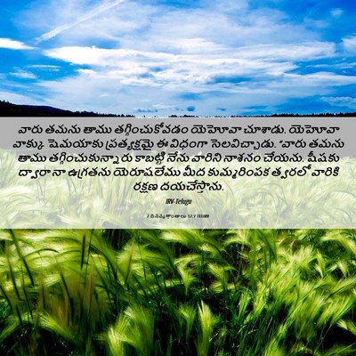 Picture 06 - 2 దినవృత్తాంతాలు 12:7 TELIRV - వారు తమను తాము - Bible Verse Picture
