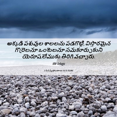 Picture 06 - 2 దినవృత్తాంతాలు 14:15 TELIRV - అక్కడి పశువుల - Bible Verse Picture
