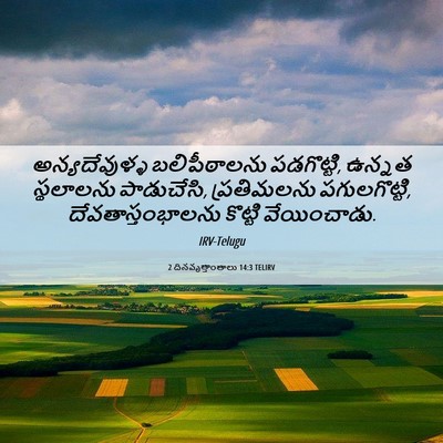 Picture 06 - 2 దినవృత్తాంతాలు 14:3 TELIRV - అన్యదేవుళ్ళ - Bible Verse Picture